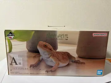 파충류 & 양서류 제일복권 A상 비어디드래곤 피규어