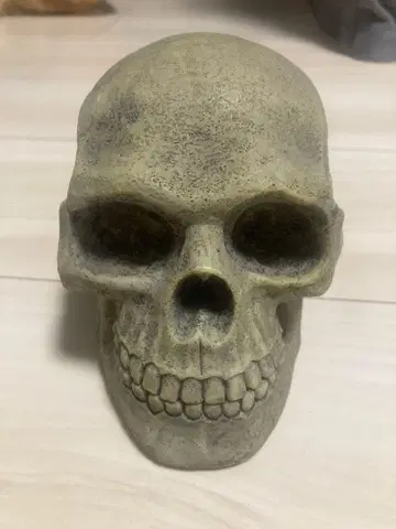 디즈니랜드 해골 저금통