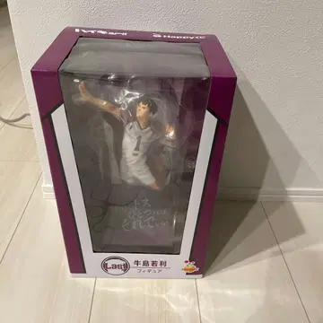 우시지마 와카토시 피규어 번호 1