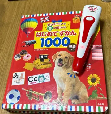 처음 배우는 그림책 1000 터치 펜 포함 박스 없음