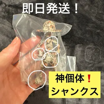 원피스 LUFFY's 모험의 기억 Vol.1 루피 수배서 신개체!