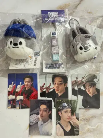 스키즈 karma popup MD 울프 찬 방찬 트레이딩 카드 세트