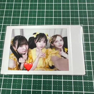 옐로우 컬러 그룹 온라인 혜택회 폴라로이드