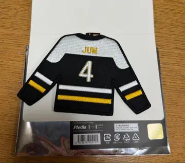 SEVENTEEN HOME 와펜 키링 준