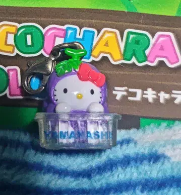 지역 한정 키티 야마나시 거봉