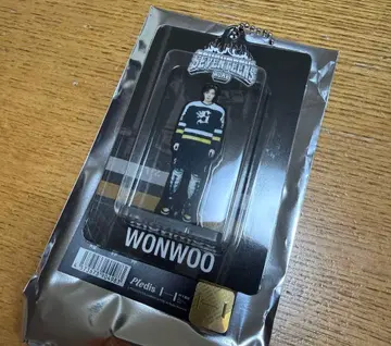 SEVENTEEN HOME 아크릴 키링 원우