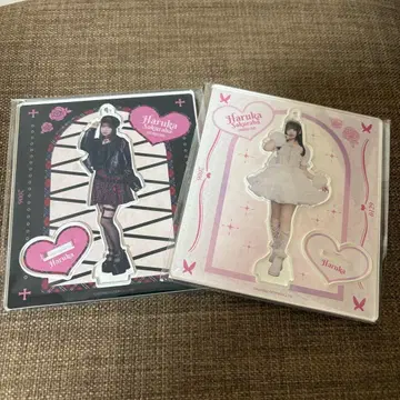 벚꽃 정원 하루카 아크릴 스탠드 생일 기념 축제