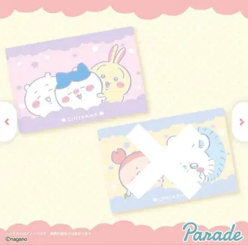 치이카와 초 BIG 마이어 담요