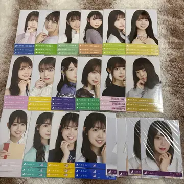 노기자카46 사카구치 타마미