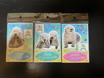 도바 수족관 70주년 패널 스탠드 메이짱 키라짱 3점 세트