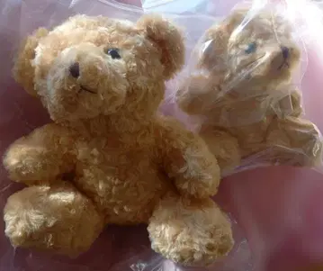 테디베어 봉제 인형 커플 세트