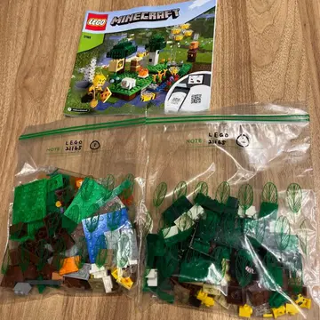 LEGO Minecraft 21165