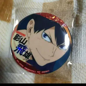 카게야마 카게야마 토비오 토비오 홀로그램 홀로 SEGA 세가 하이큐!!