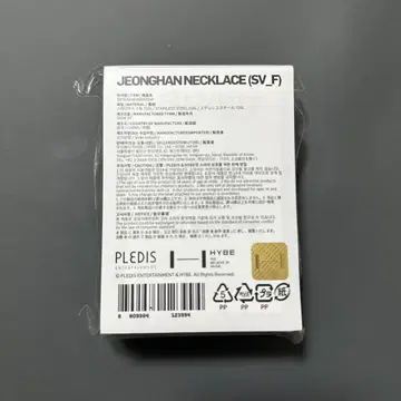 SEVENTEEN 9th Anniversary 정한 목걸이