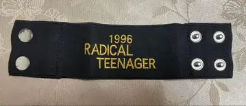 THE ALFEE 1996 RADICAL TEENAGER 리스트 밴드