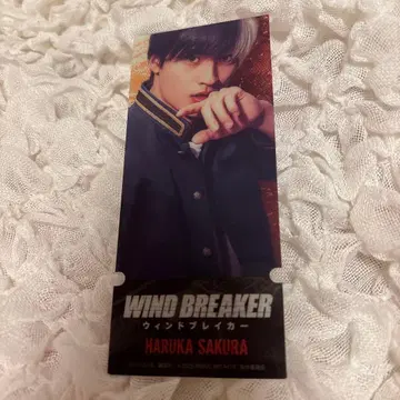 영화 윈드브레이커 트레이딩 티켓풍 카드 미즈카미 코우시 사쿠라 하루카