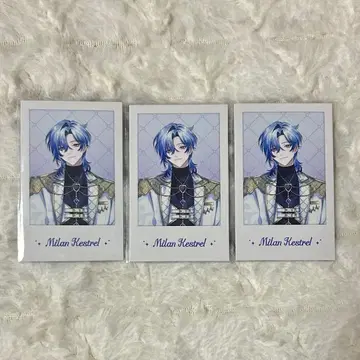 Half Anniversary 밀라노 케스트렐 폴라로이드