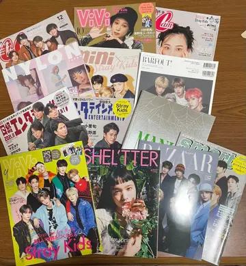 Stray Kids 잡지 묶음 판매