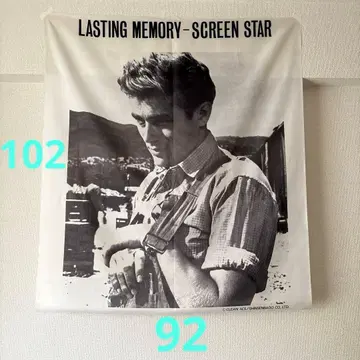 제임스 딘 태피스트리 상하의 끝단 처리