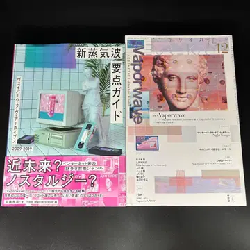 Vaporwave 관련 서적 2권 세트
