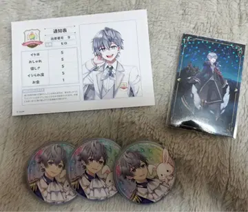 컬러풀 피치 히로 묶음 판매