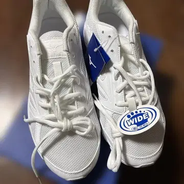 새상품 MIZUNO 미즈노 신발 35.5cm 통학용