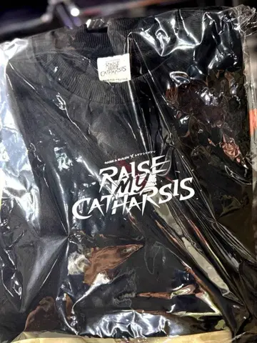 RAISE A SUILEN 토게나시 토게아리 특제 콜라보 스웨트 셔츠