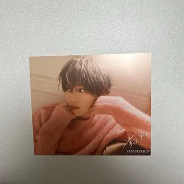 야기 유세이 쭉쭉 아더 자켓