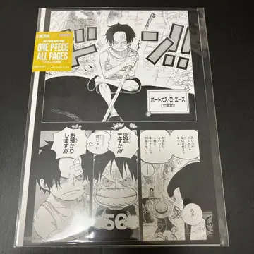 원피스 ALL PAGES B5 마린포드 정상 전쟁편 삼형제
