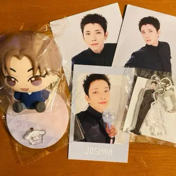 조슈아 seventeen 세부치 NEW 아크릴 키링 트레이딩 카드