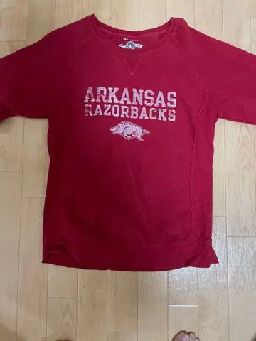 Champion 아칸소 레이저 백 트레이닝복 M