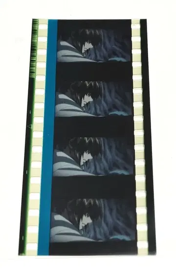 창궁의 파프너 필름 조각 카드 케이스 보관