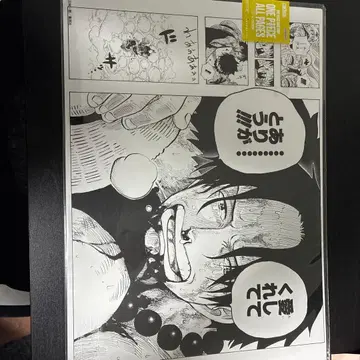 원피스 ALL PAGES 정상전쟁