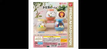 캡슐리움 오분구와 함께 전 3종 컴플리트 세트