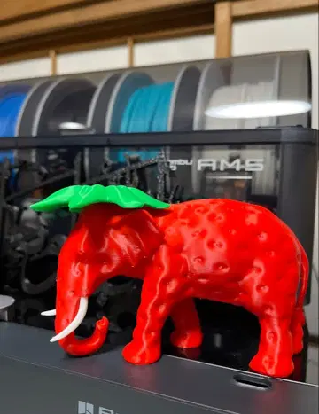 이탈리안 브레인 로트 스트로베리 엘리펀트