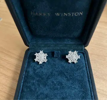 다이아몬드 커팅 디자인 귀걸이 플라티나