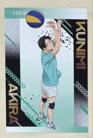 하이큐 유스 의사 유스 합숙 페어 엽서 쿠니미 아키라 6장