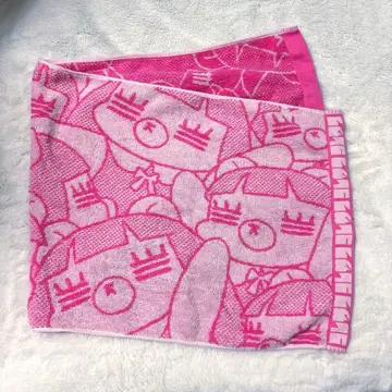 코레사와 무귯토레짱 타월