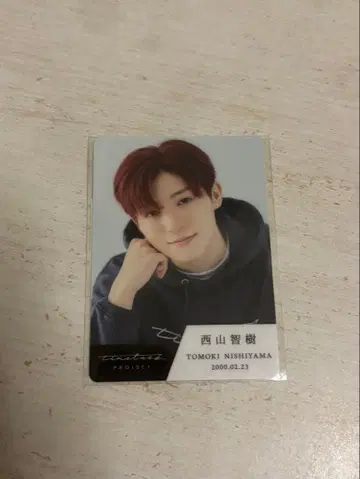 니시야마 토모키 트레이딩 카드 타입 timelesz