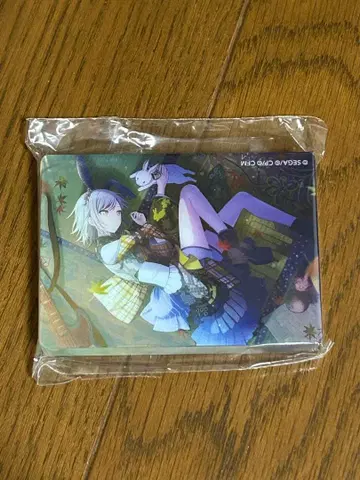 프로세카 히노모리 시호 노블 아트