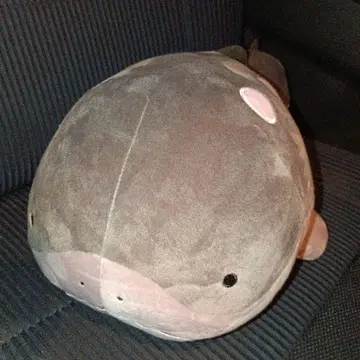 포켓몬스터 메챠모후굿토 봉제 인형 ~도오~