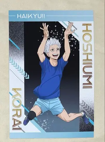 하이큐 유스 가상 유스 합숙 애니메이트 호시우미 코라이 8장