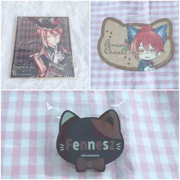 아쿠네코 페네스