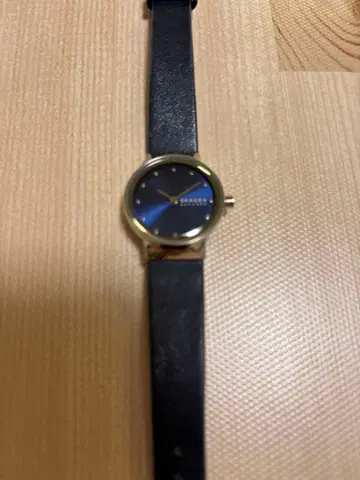 SKAGEN 스카겐 손목시계 SKW3007