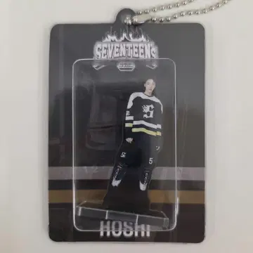SEVENTEEN HOME 아크릴 키링 호시