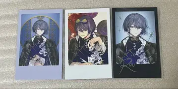 코야나기 로우 Dytica 2주년 폴라로이드 니지산지