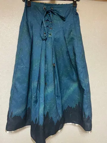 axes femme 겨울 밤하늘 패턴 스커트