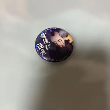 은혼 사카타 긴토키 도쿠가와 요시요시 캔뱃지 뒷모습 주의