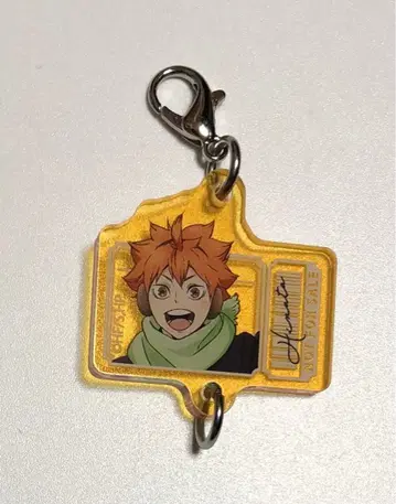 하이큐 코스모 월드 히나타 쇼요