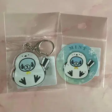 홋카이도 한정 퐁포네트 민트 군 시마연가 나루미야 팝업